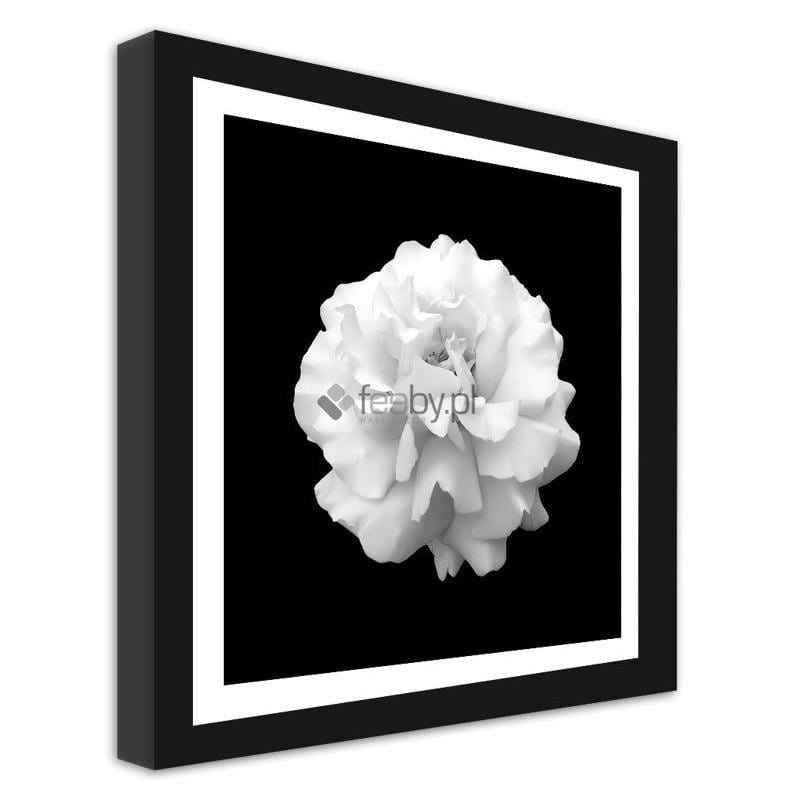 Picture in frame ZERO, Flower Home Trends