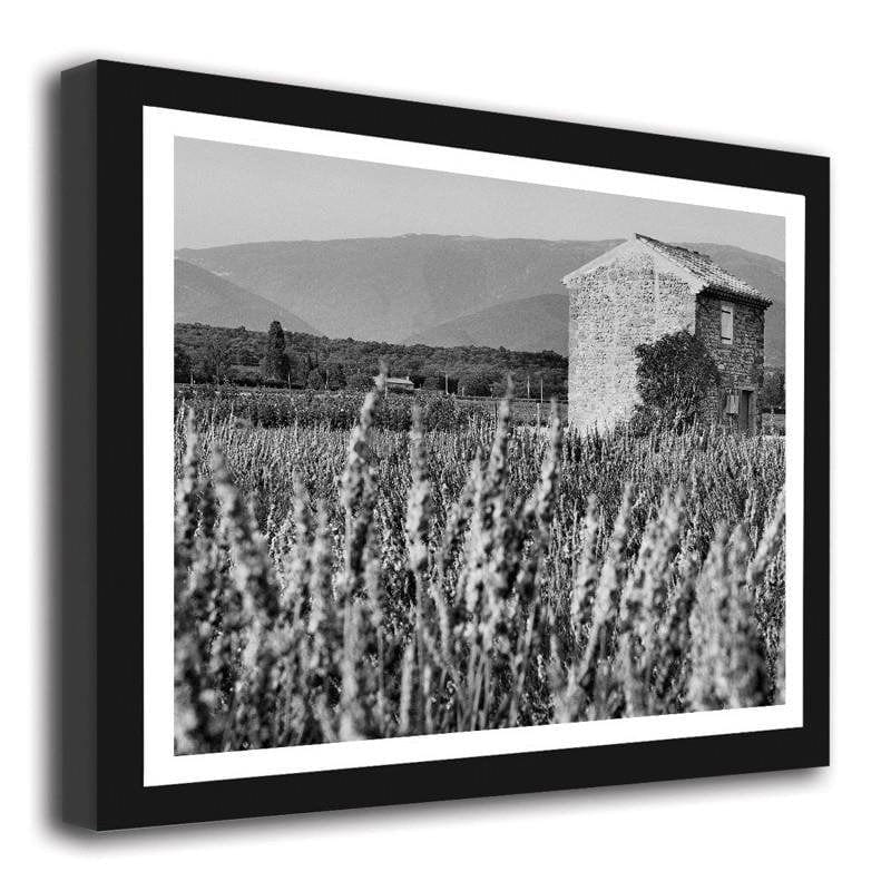 Picture in frame ZERO, Growing lavender Home Trends