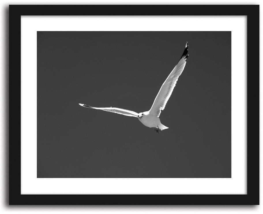 Picture in frame ZERO, Gull Home Trends