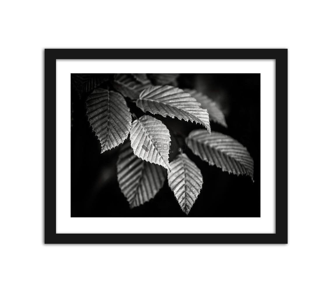 Picture in frame ZERO, Leaves Home Trends