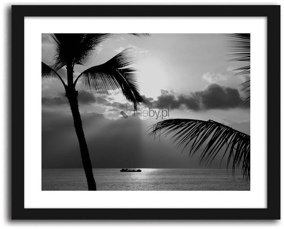 Picture in frame ZERO, Palms Home Trends
