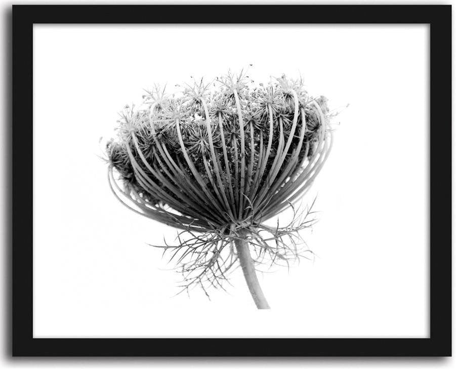 Picture in frame ZERO, Sosnowski's borscht Home Trends