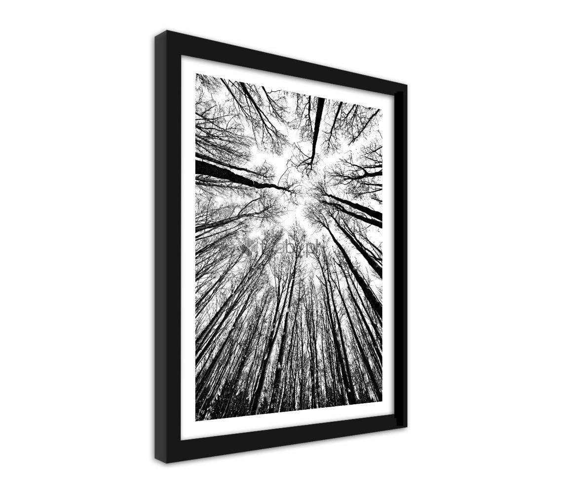 Picture in frame ZERO, The forest Home Trends