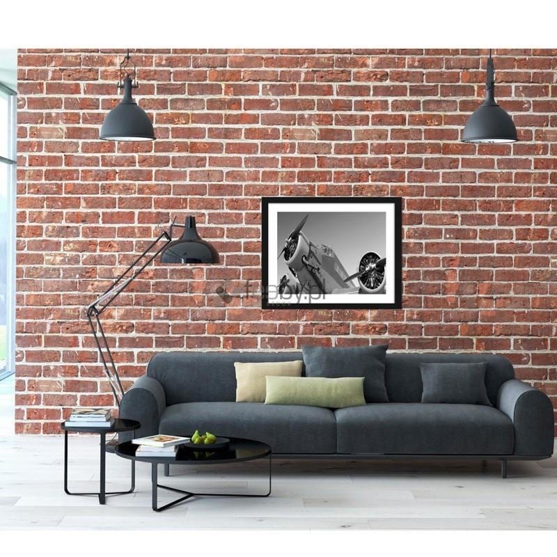Picture in frame ZERO, The old plane Home Trends