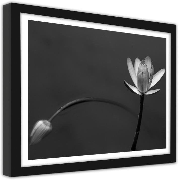 Picture in frame ZERO, White flower 2 Home Trends