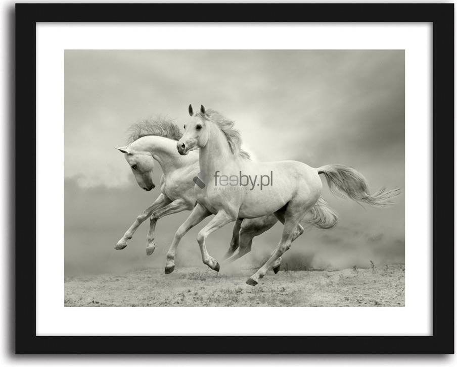 Picture in frame ZERO, White horses Home Trends