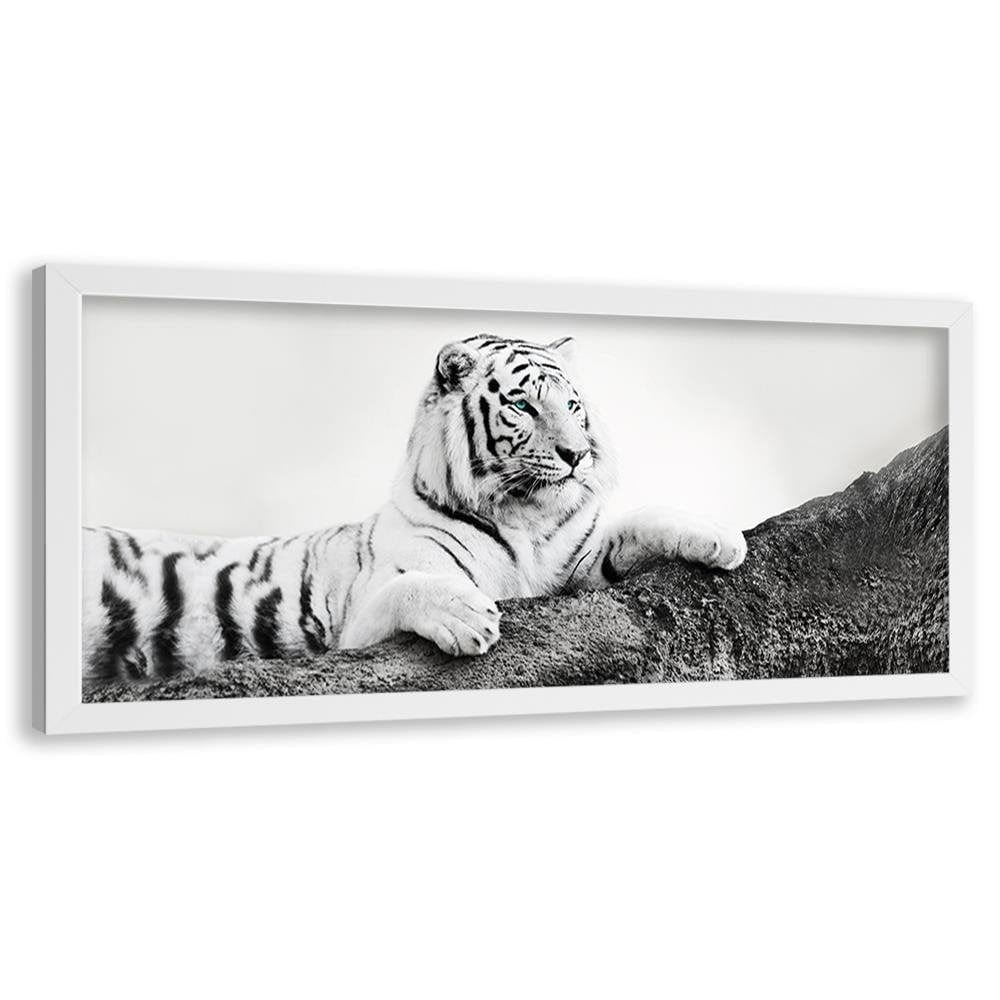 Picture in white frame PANORAMA, The Vigilant Tiger Home Trends