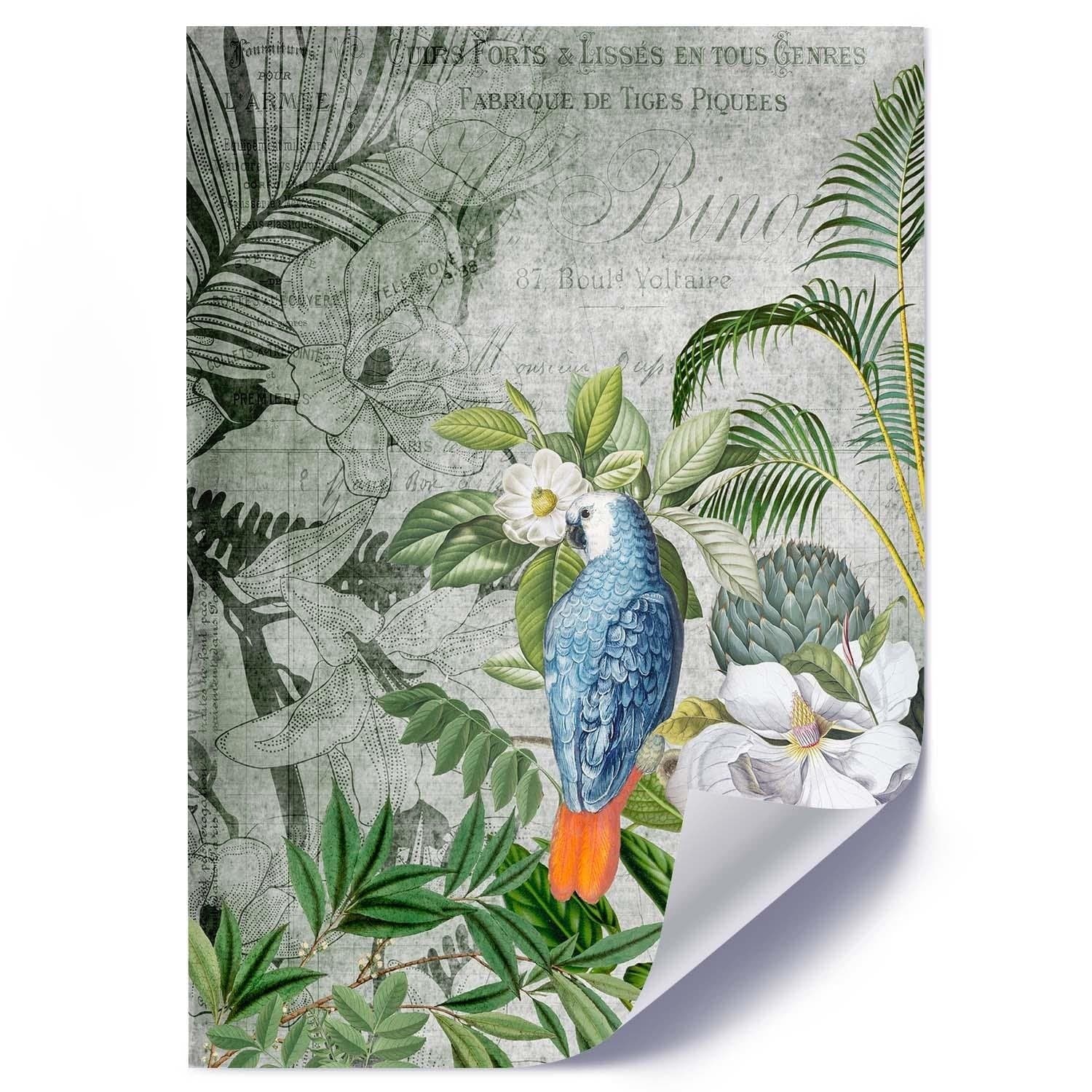 Posteris - Blue Parrot E-interjers.lv