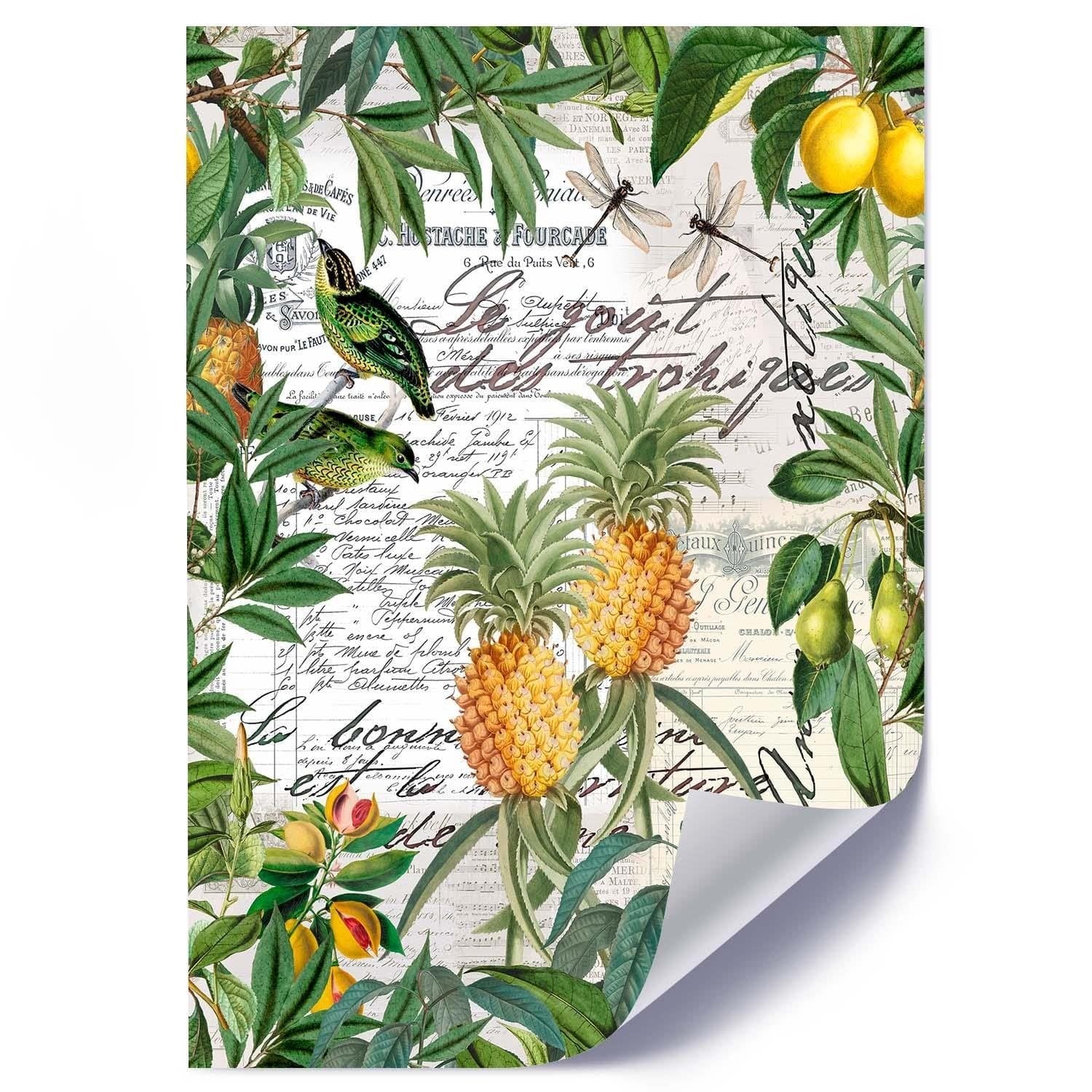 Posteris - Exoticism E-interjers.lv