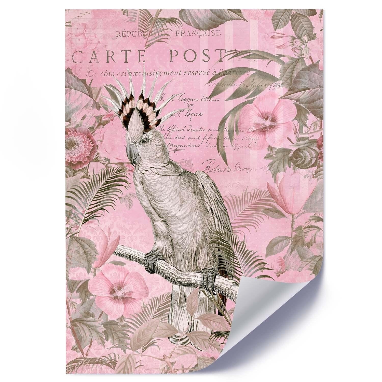 Posteris - Parrot Queen E-interjers.lv