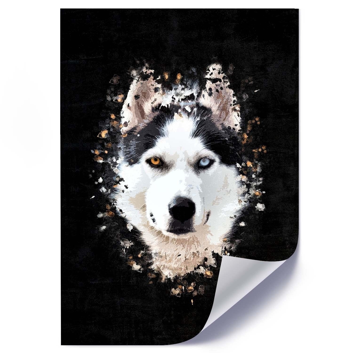 Posteris - Siberian Husky E-interjers.lv