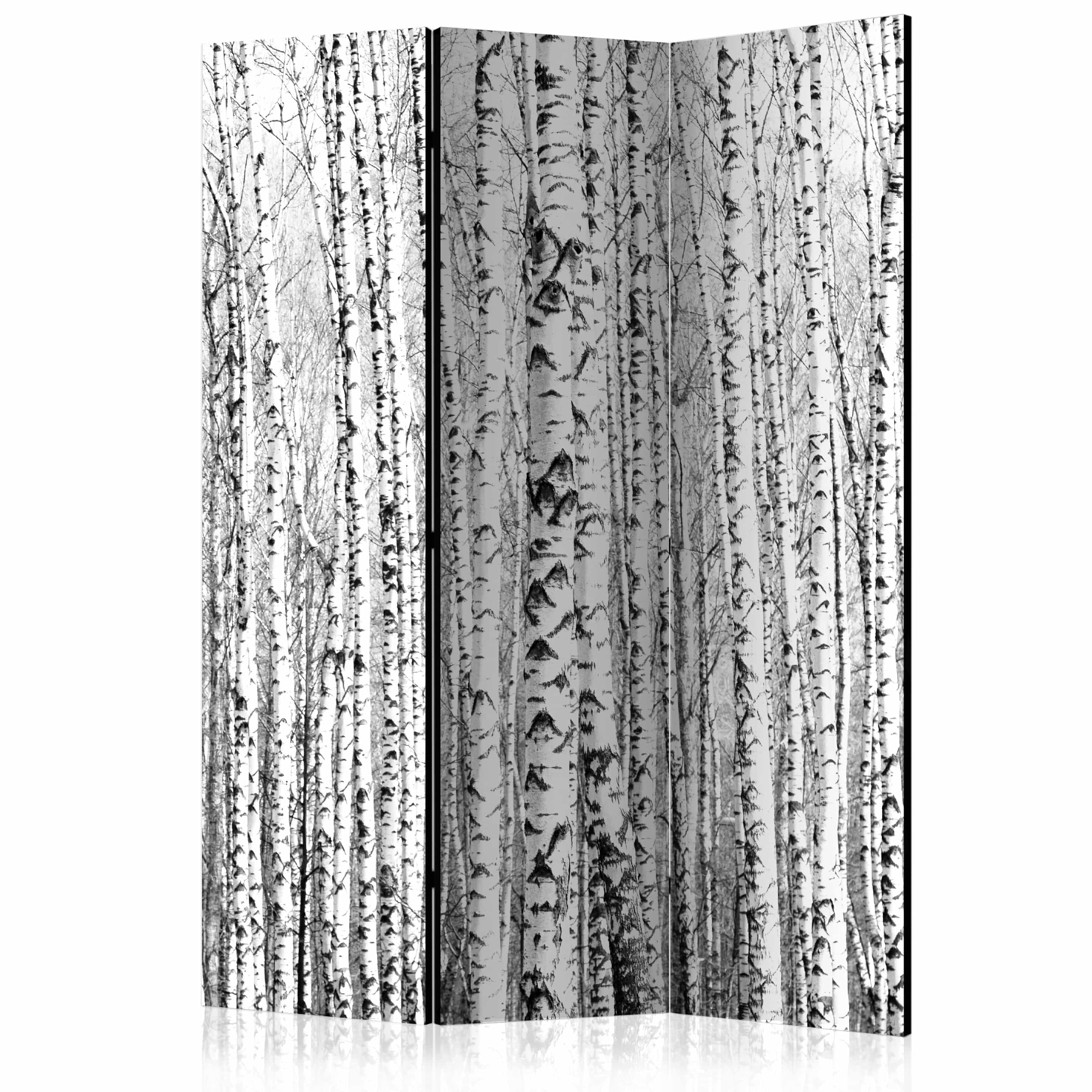 Aizslietnis 3-daļīgs - Bērzu mežs (135x172cm) 135x172 cm Home Trends