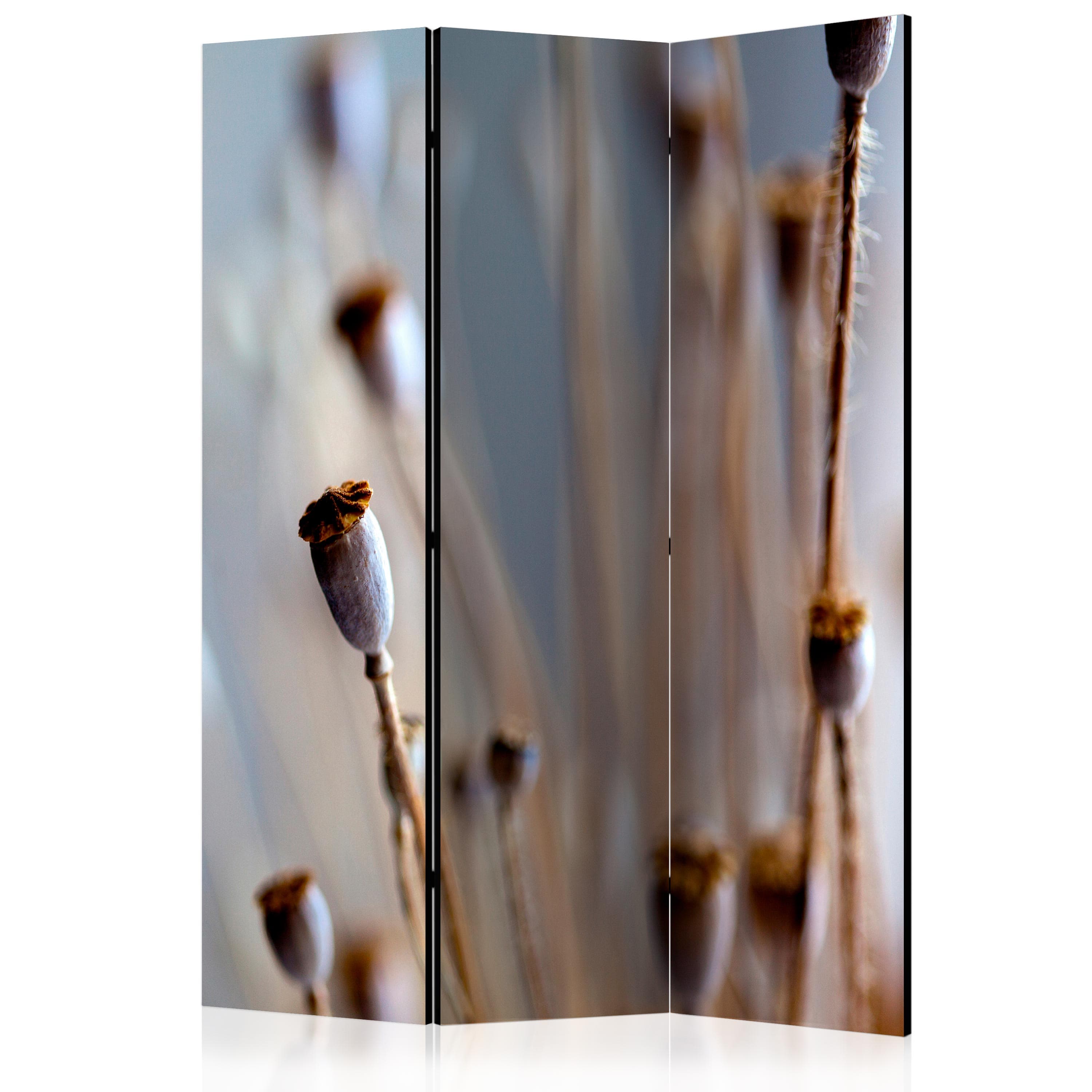 Aizslietnis 3-daļīgs - Magoņu galviņas (135x172cm) Home Trends