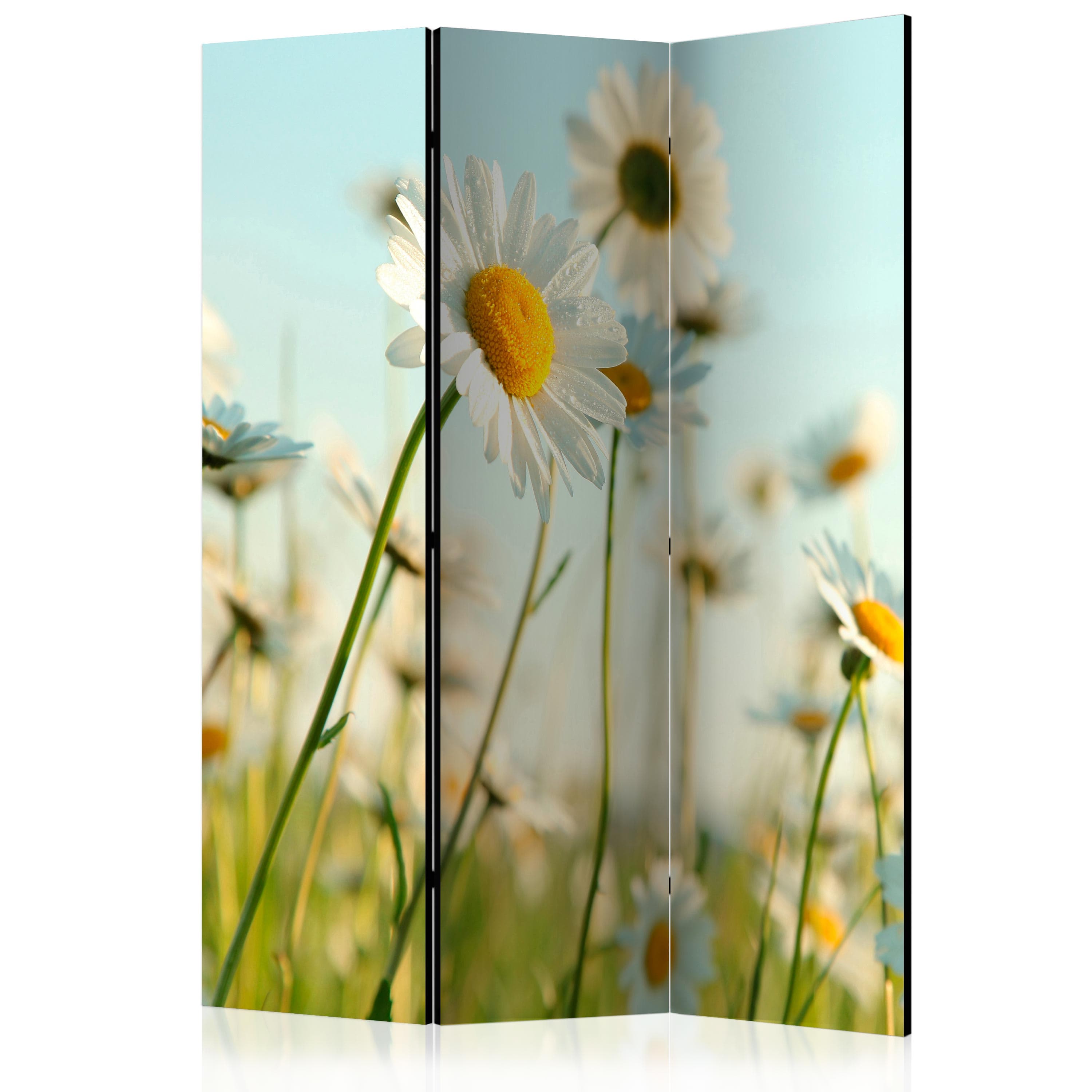 Aizslietnis 3-daļīgs - Margrietiņas - pavasara pļava 2. versija (135x172cm) Home Trends