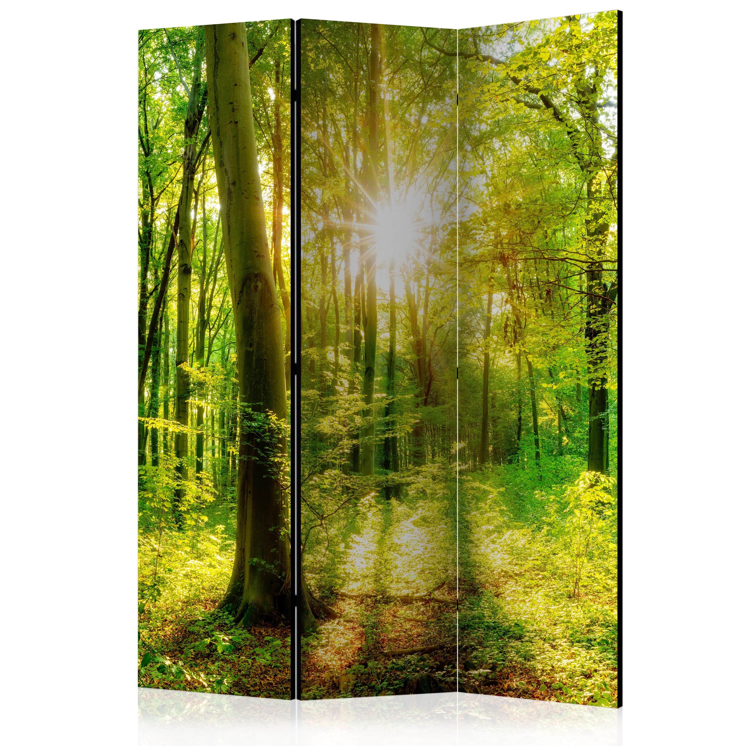 Aizslietnis 3-daļīgs - Meža stari (135x172cm) 135x172 cm Home Trends