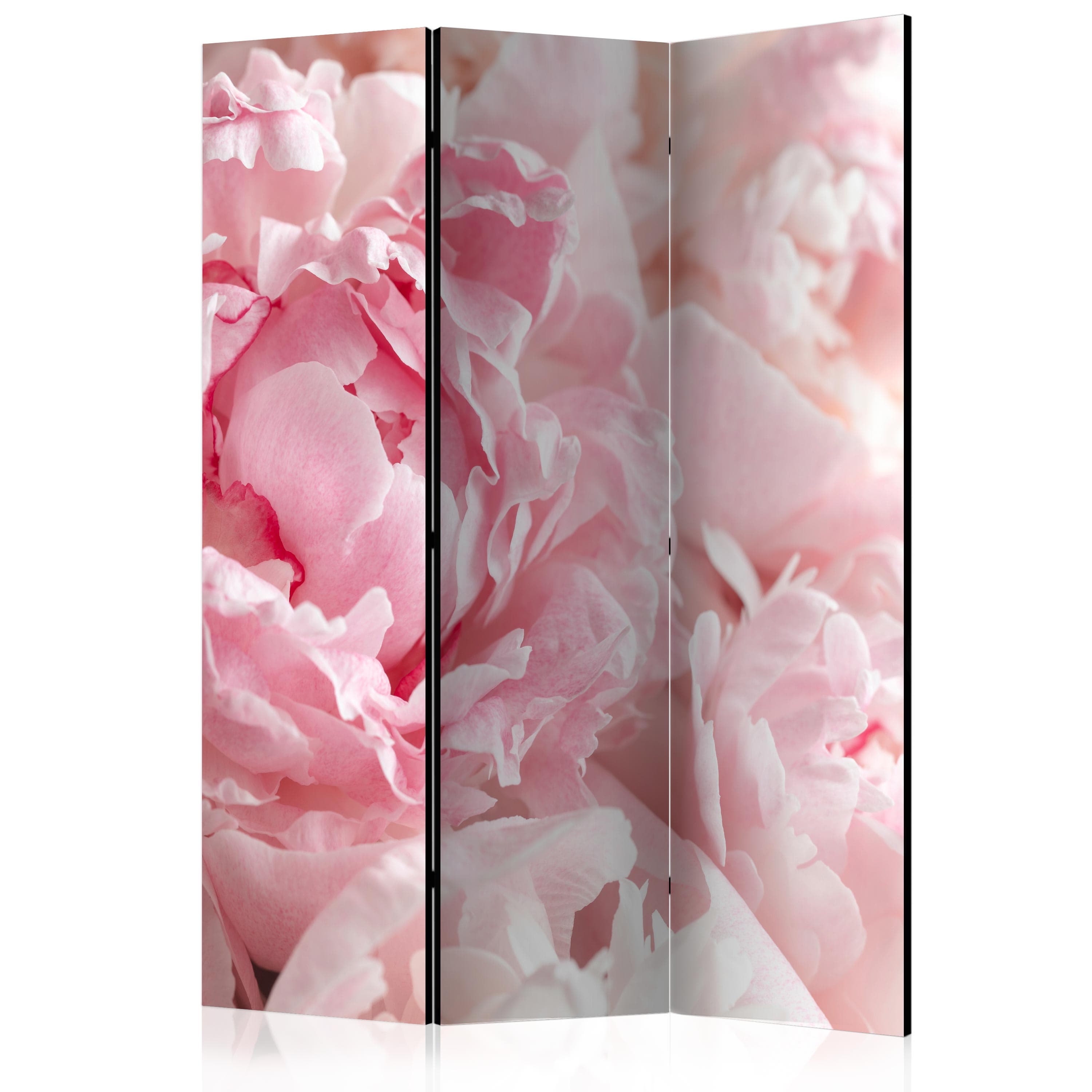 Aizslietnis 3-daļīgs - Mīlas peonijas (135x172cm) Home Trends