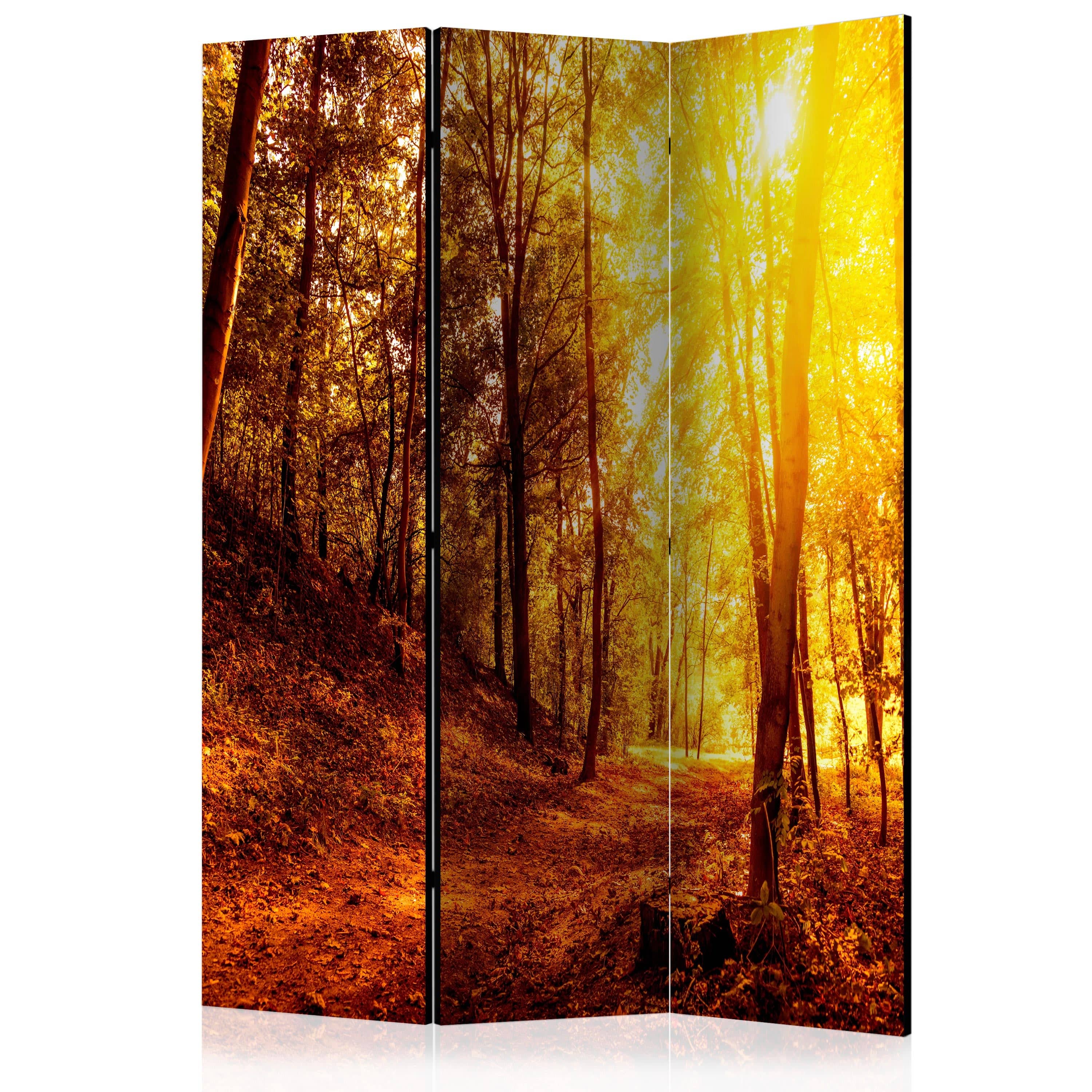 Aizslietnis 3-daļīgs - Rudens pastaiga (135x172cm) 135x172 cm Home Trends
