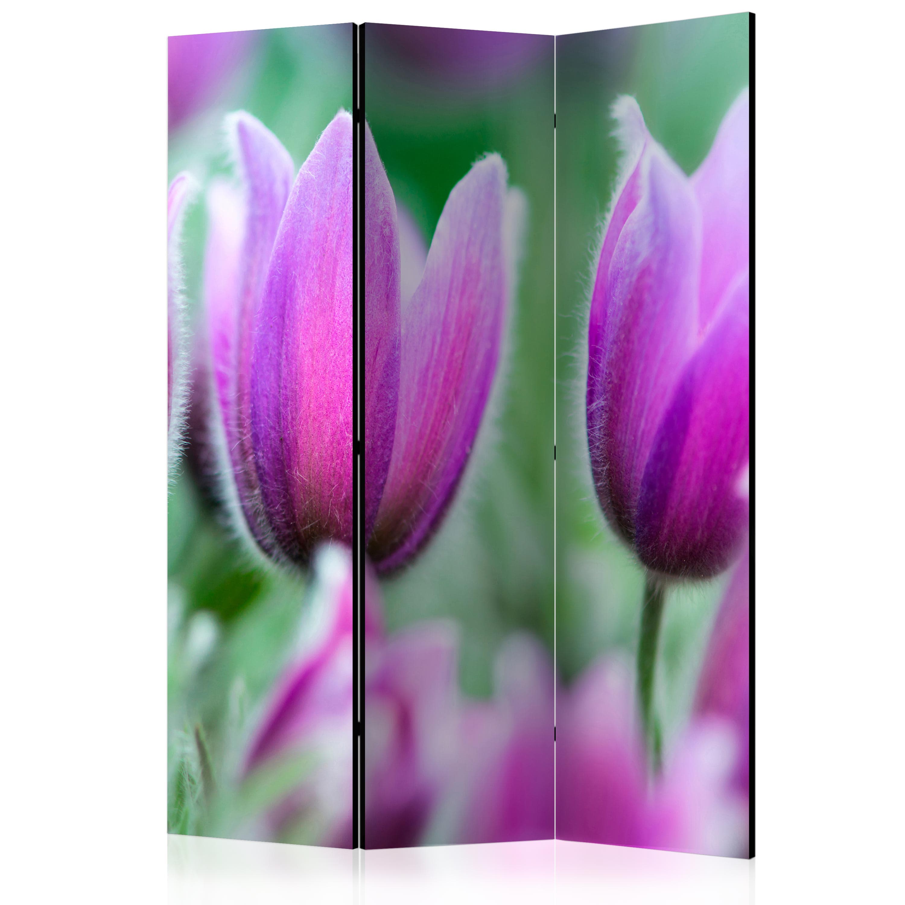 Aizslietnis 3-daļīgs - Violetas pavasara tulpes (135x172cm) Home Trends