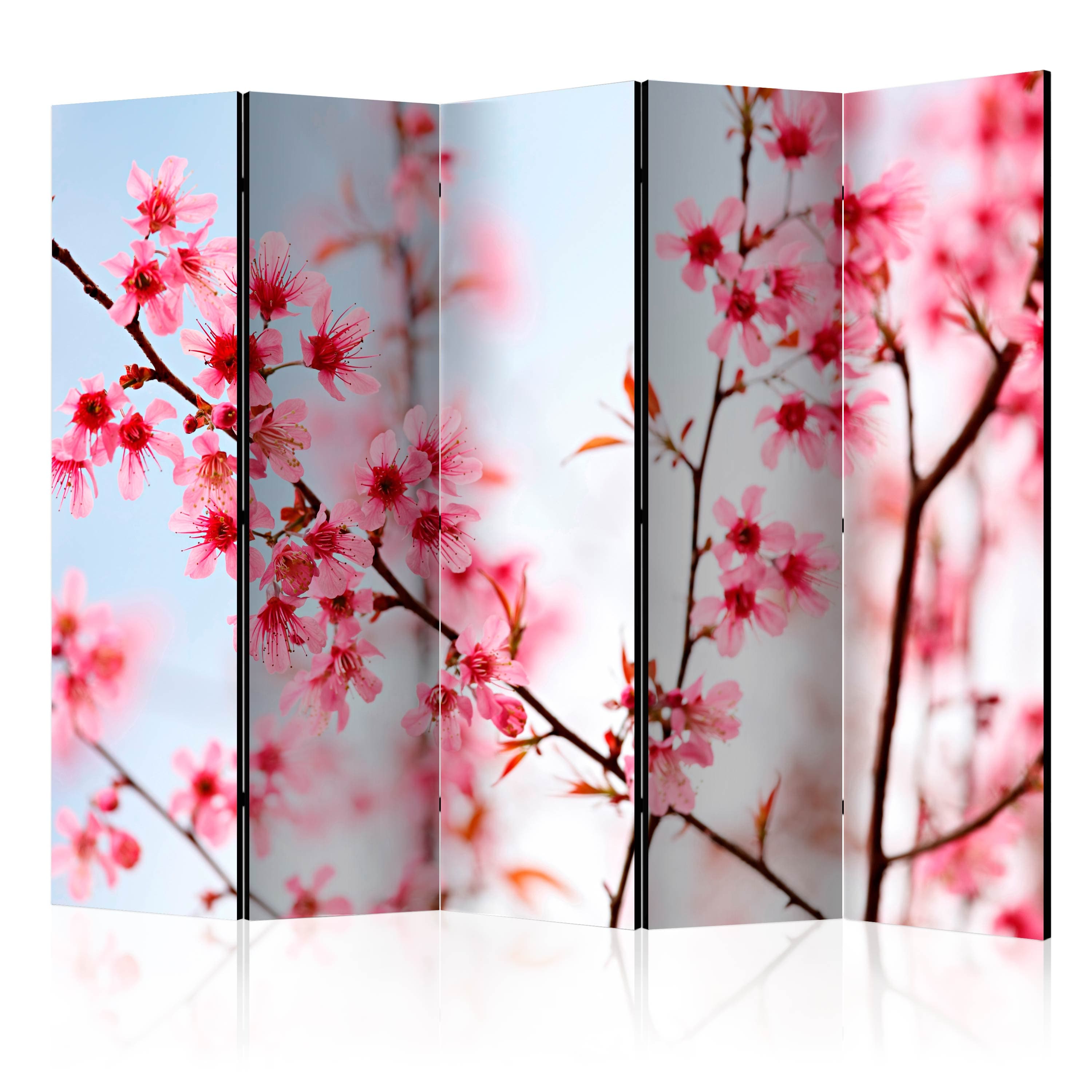 Aizslietnis 5-daļīgs - Japānas simbols - sakuras ziedi (225x172cm) Home Trends