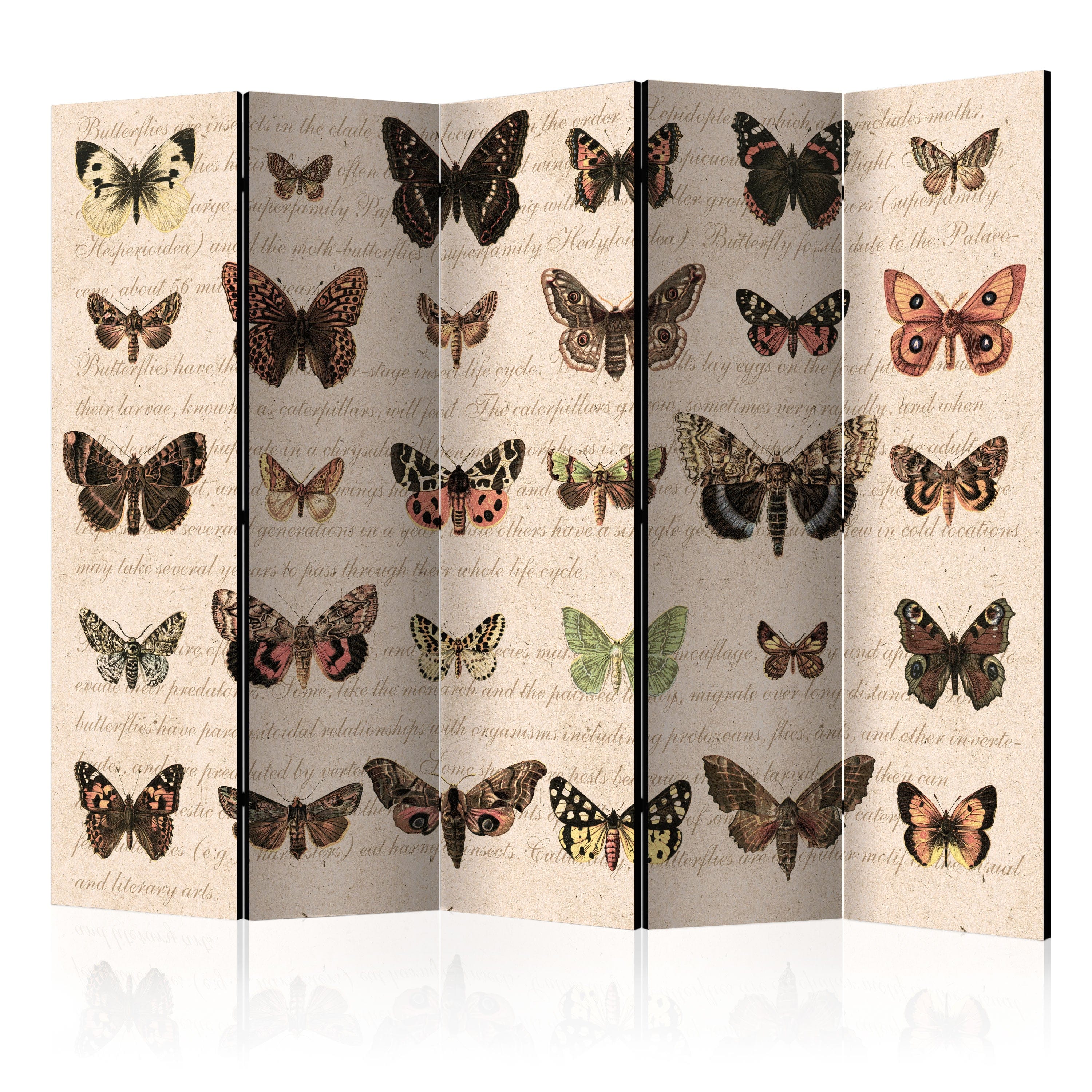 Aizslietnis 5-daļīgs - Retro stils - tauriņi (225x172cm) Home Trends