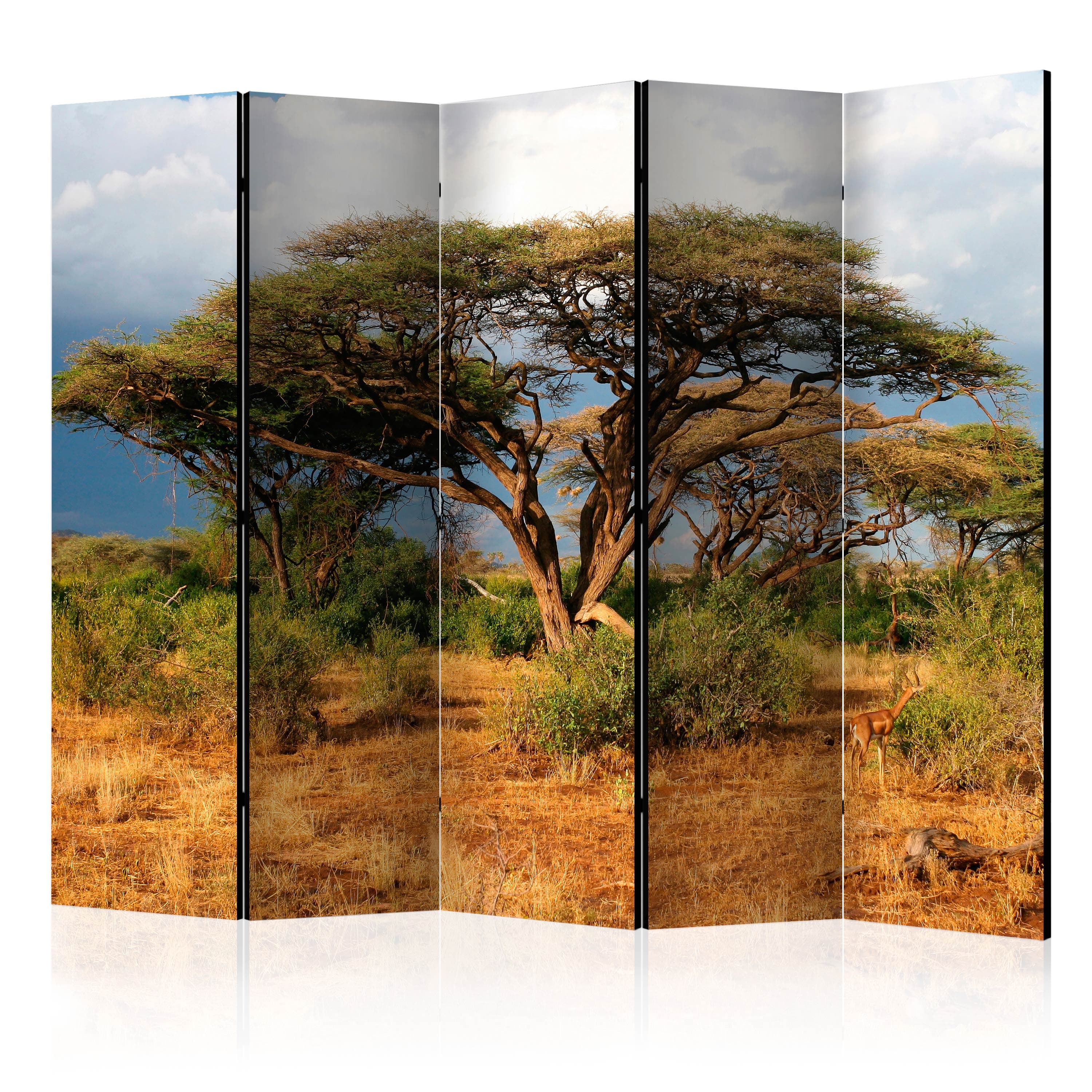 Aizslietnis 5-daļīgs - Samburu nacionālais rezervāts, Kenija (225x172cm) Home Trends