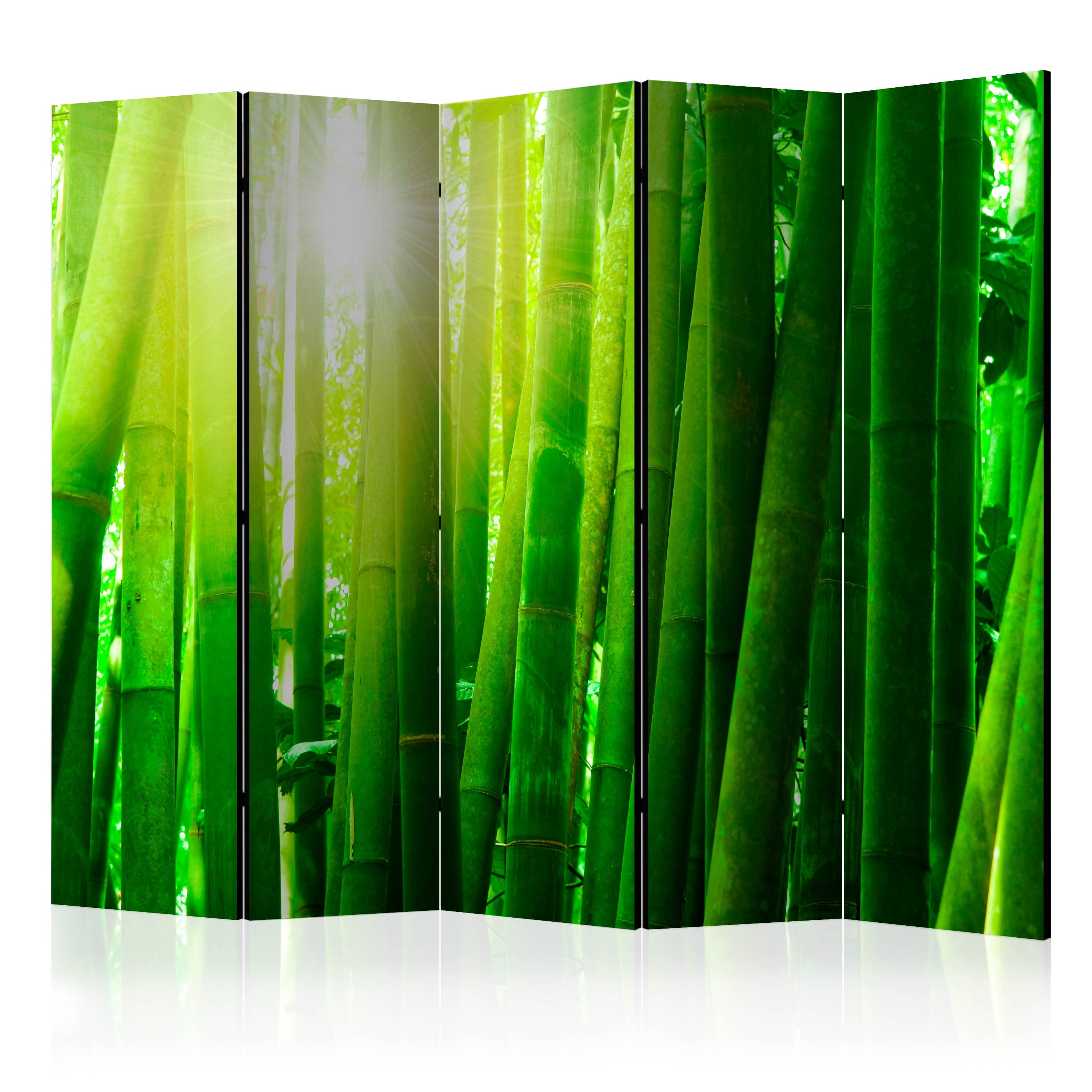 Aizslietnis 5-daļīgs - Saule un bambuss 2. versija (225x172cm) Home Trends
