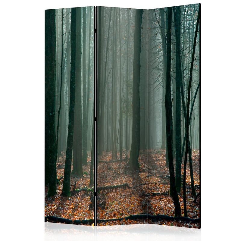 Aizslietnis 3-daļīgs - Raganu mežs (135x172cm)