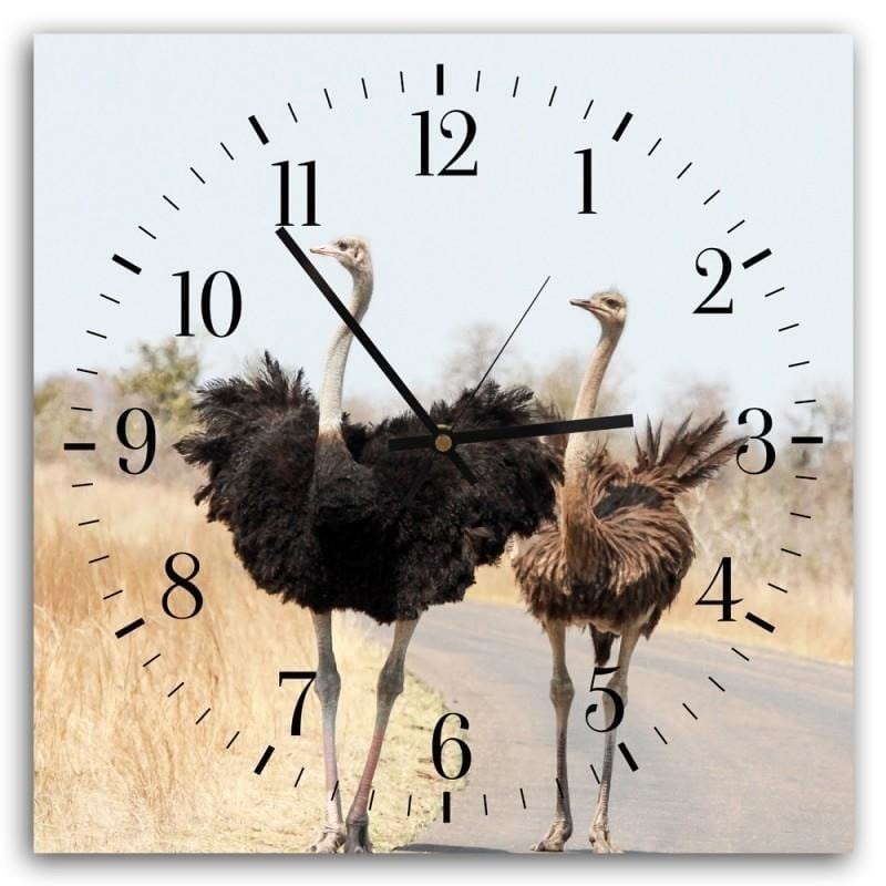 Dekoratīvais sienas pulkstenis Two ostriches E-interjers.lv