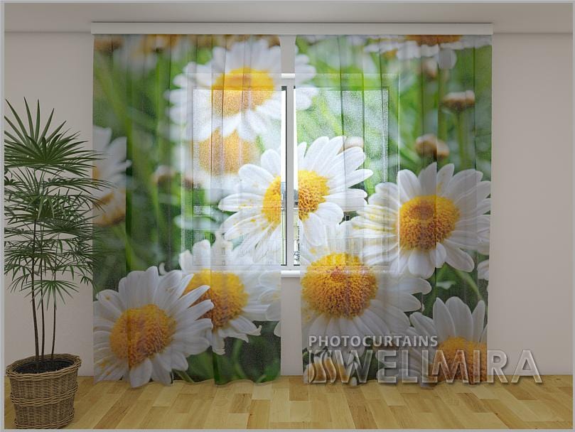 Dienas un nakts aizkari - Baltās kamolziedes 180 x 140 cm (2X 90x140 cm) / Сaurspīdīgs šifons E-interjers.lv