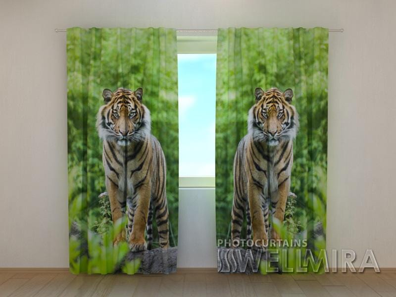 Dienas un nakts aizkari - Divi tīģeri 180 x 140 cm (2X 90x140 cm) / SCREEN E-interjers.lv