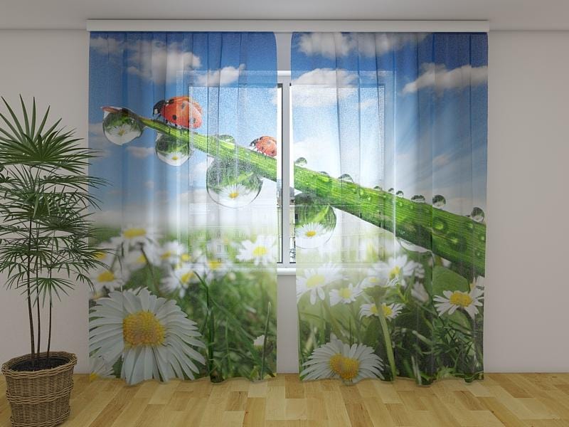 Dienas un nakts aizkari - Lēdijas kamolīšos 180 x 140 cm (2X 90x140 cm) / Сaurspīdīgs šifons E-interjers.lv