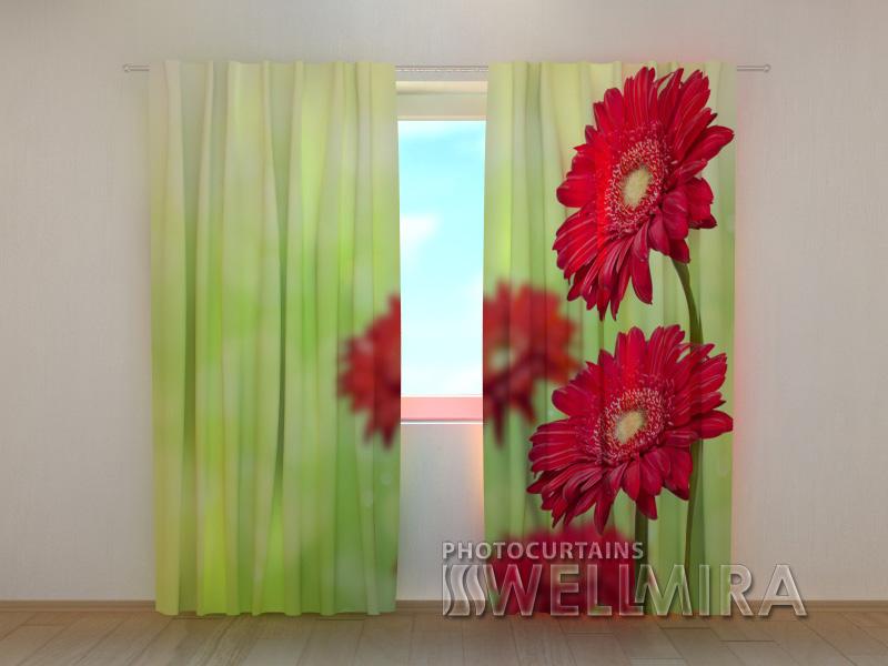 Dienas un nakts aizkari - Sarkanās gerberas 180 x 140 cm (2X 90x140 cm) / SCREEN E-interjers.lv