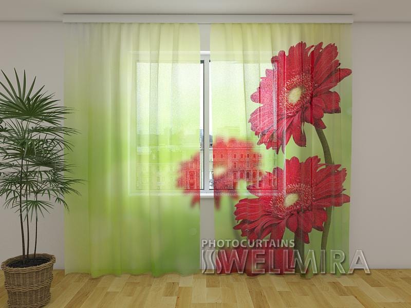 Dienas un nakts aizkari - Sarkanās gerberas 180 x 140 cm (2X 90x140 cm) / Сaurspīdīgs šifons E-interjers.lv