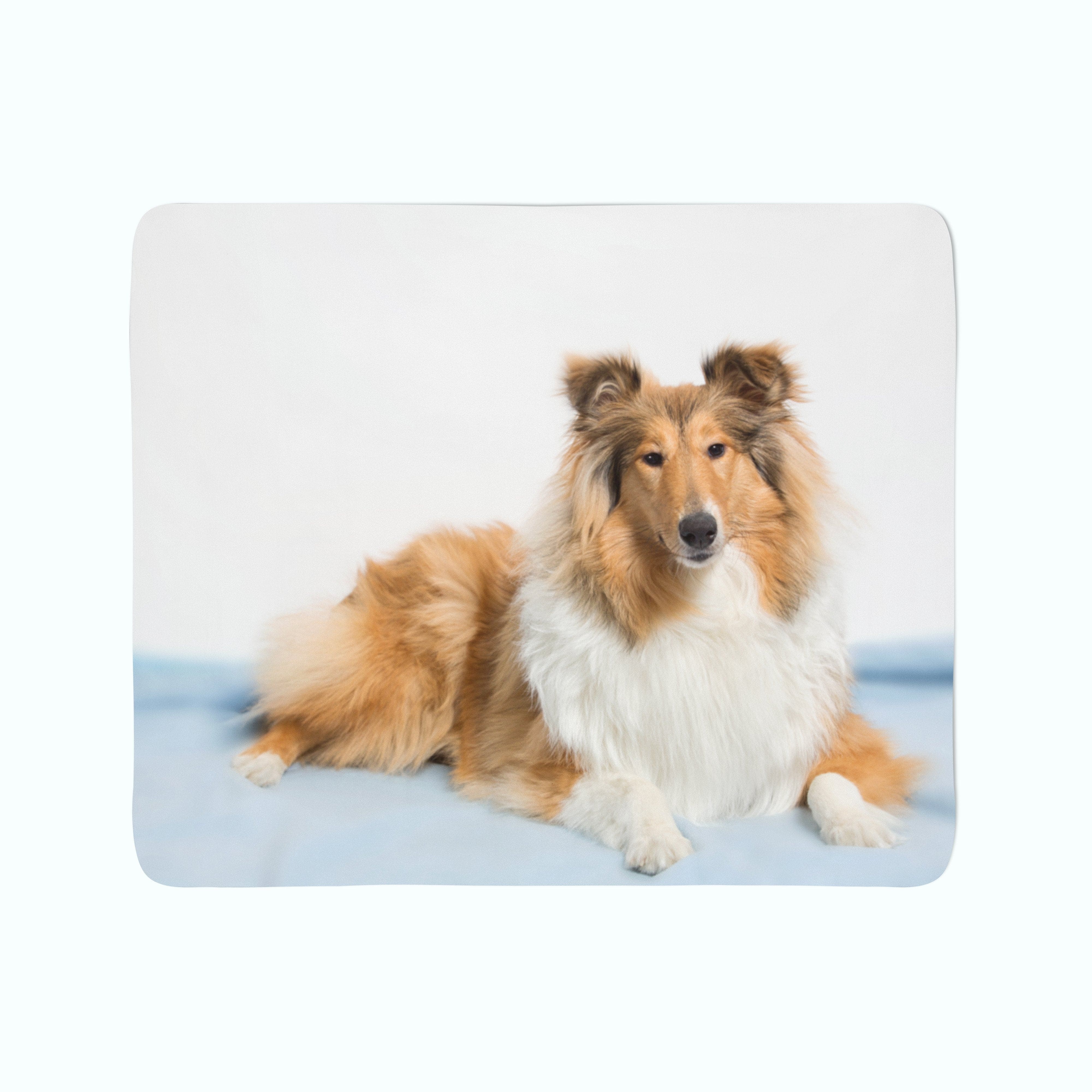 Flīsa pleds Beautiful Collie E-interjers.lv