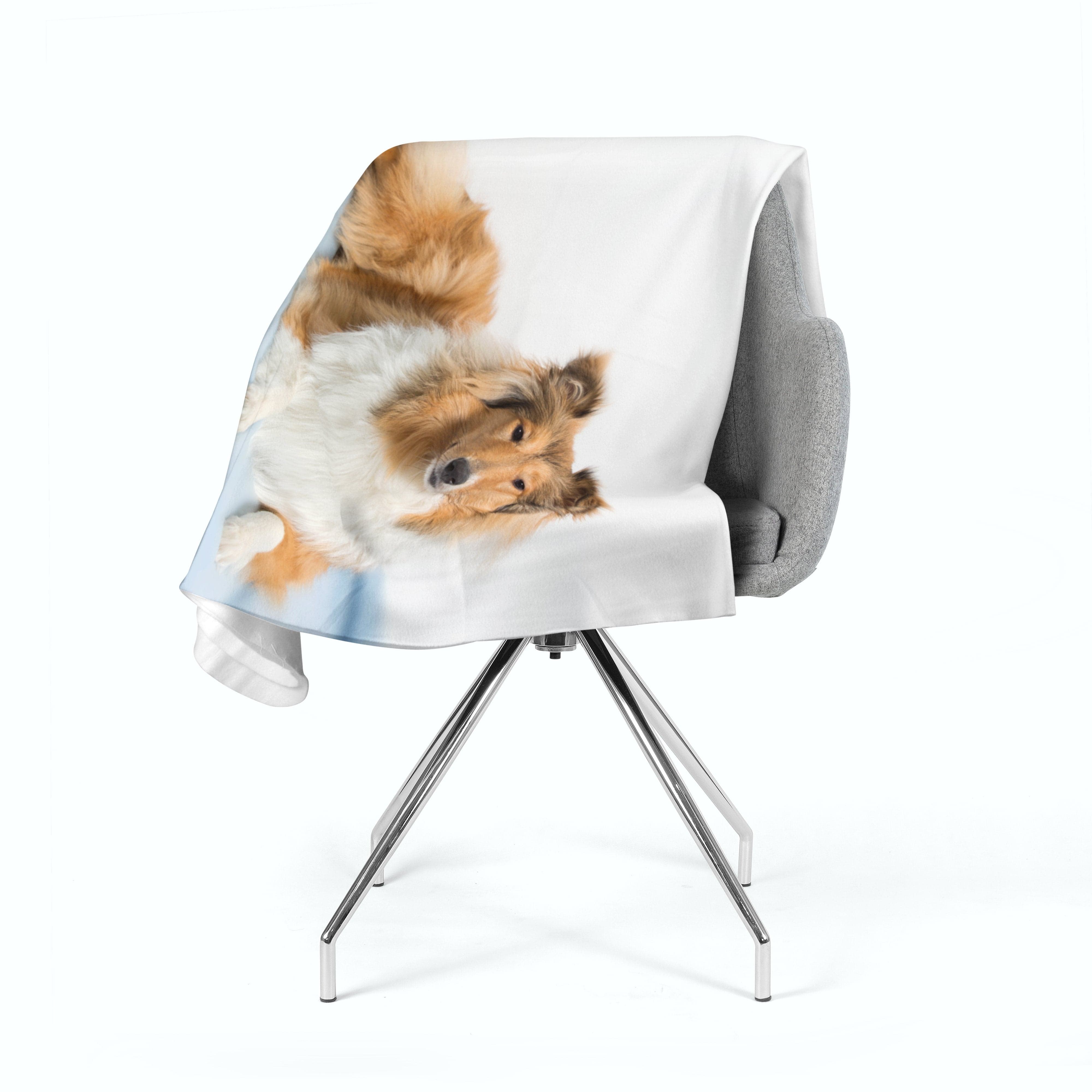 Flīsa pleds Beautiful Collie E-interjers.lv
