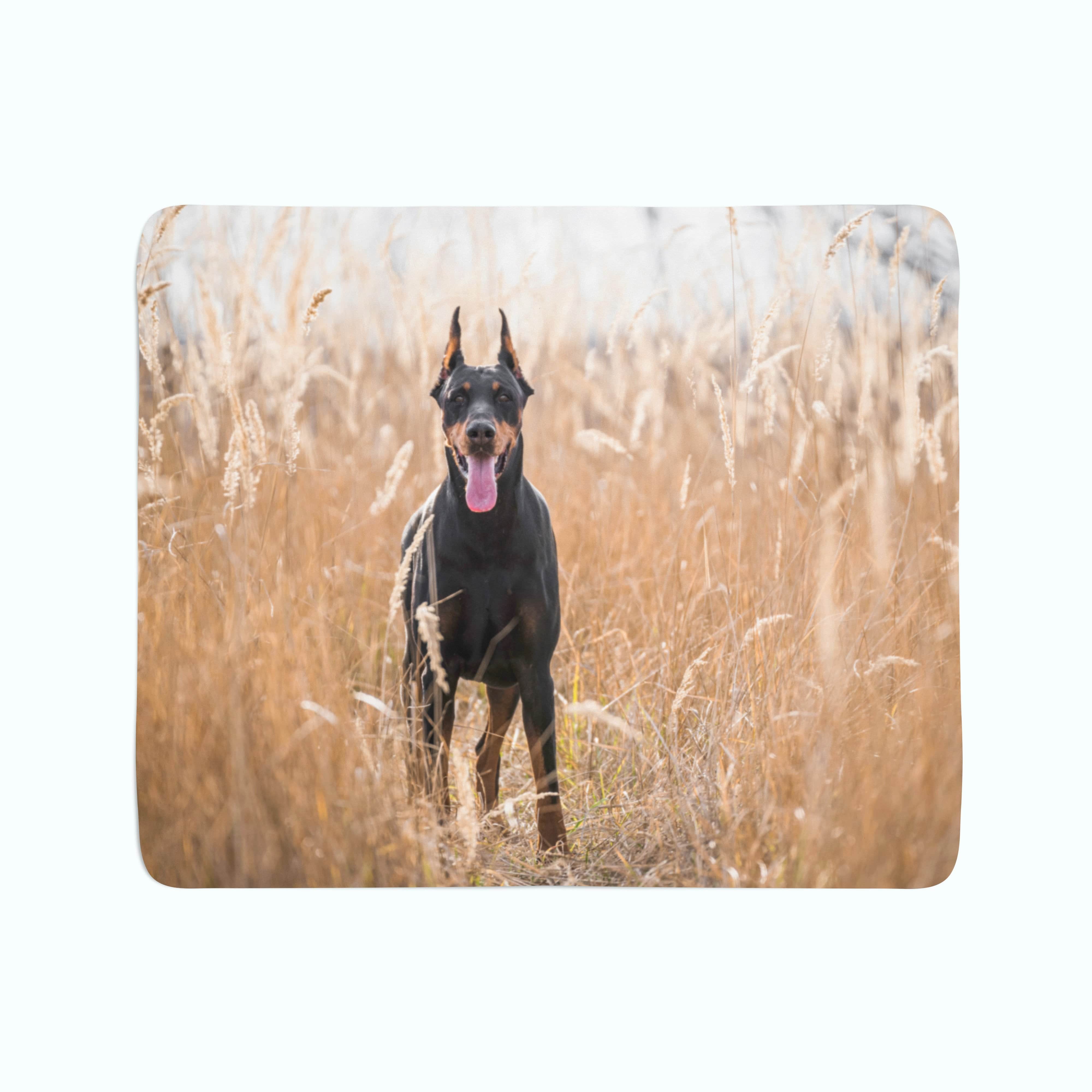 Flīsa pleds Doberman Pinscher in the Golden Grass E-interjers.lv