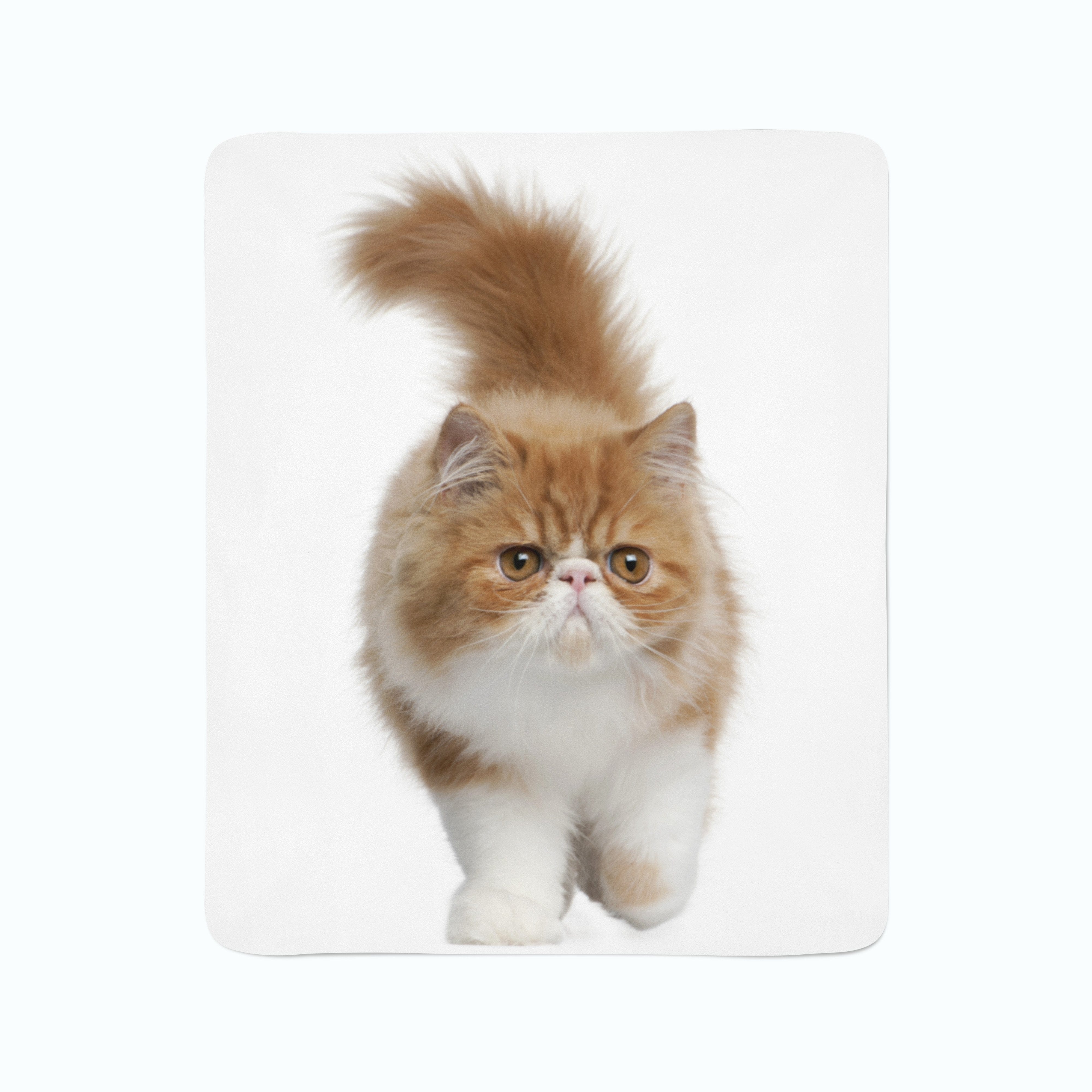 Flīsa pleds Fluffy Cat E-interjers.lv