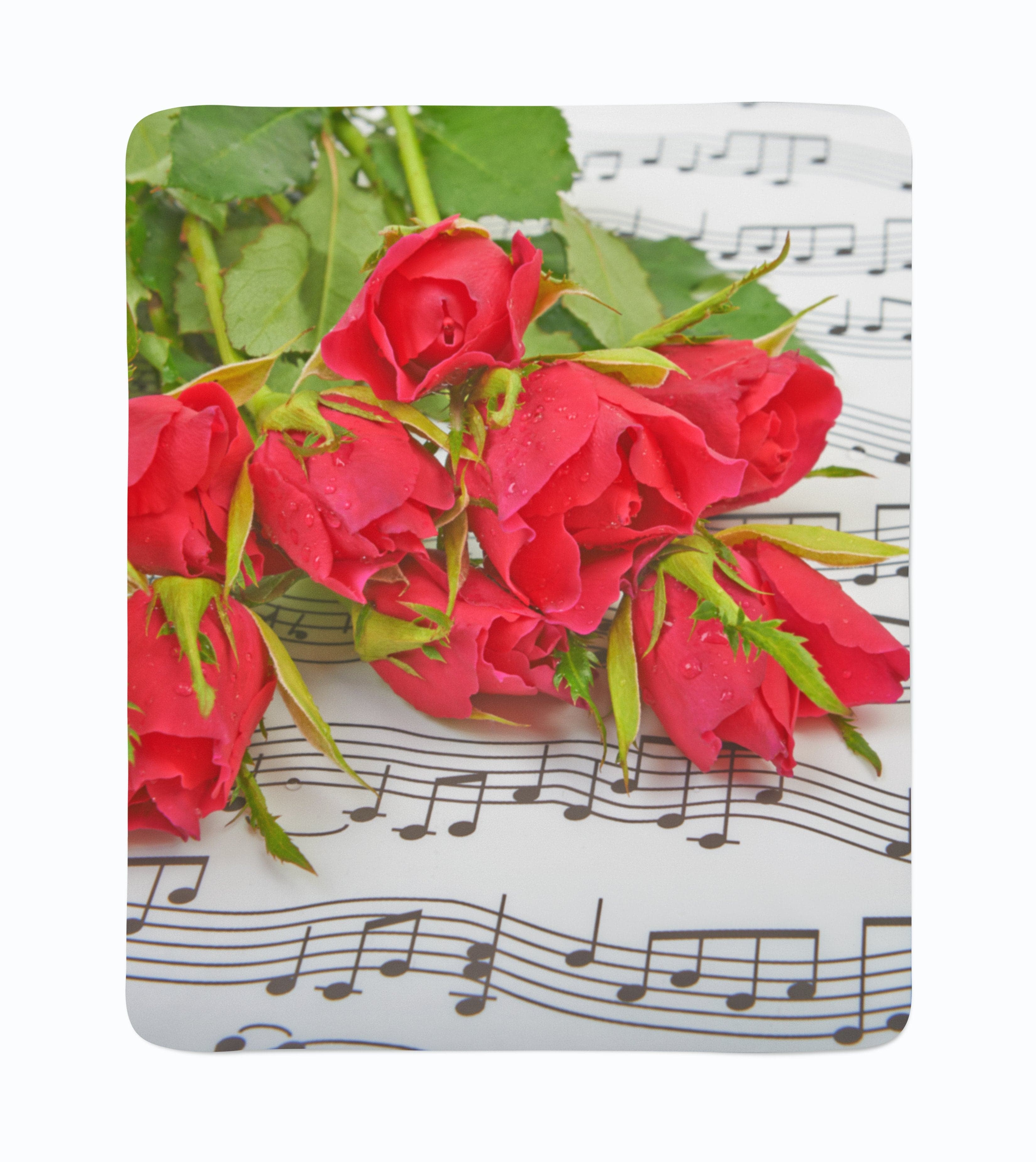 Flīsa pleds Roses and Notes E-interjers.lv