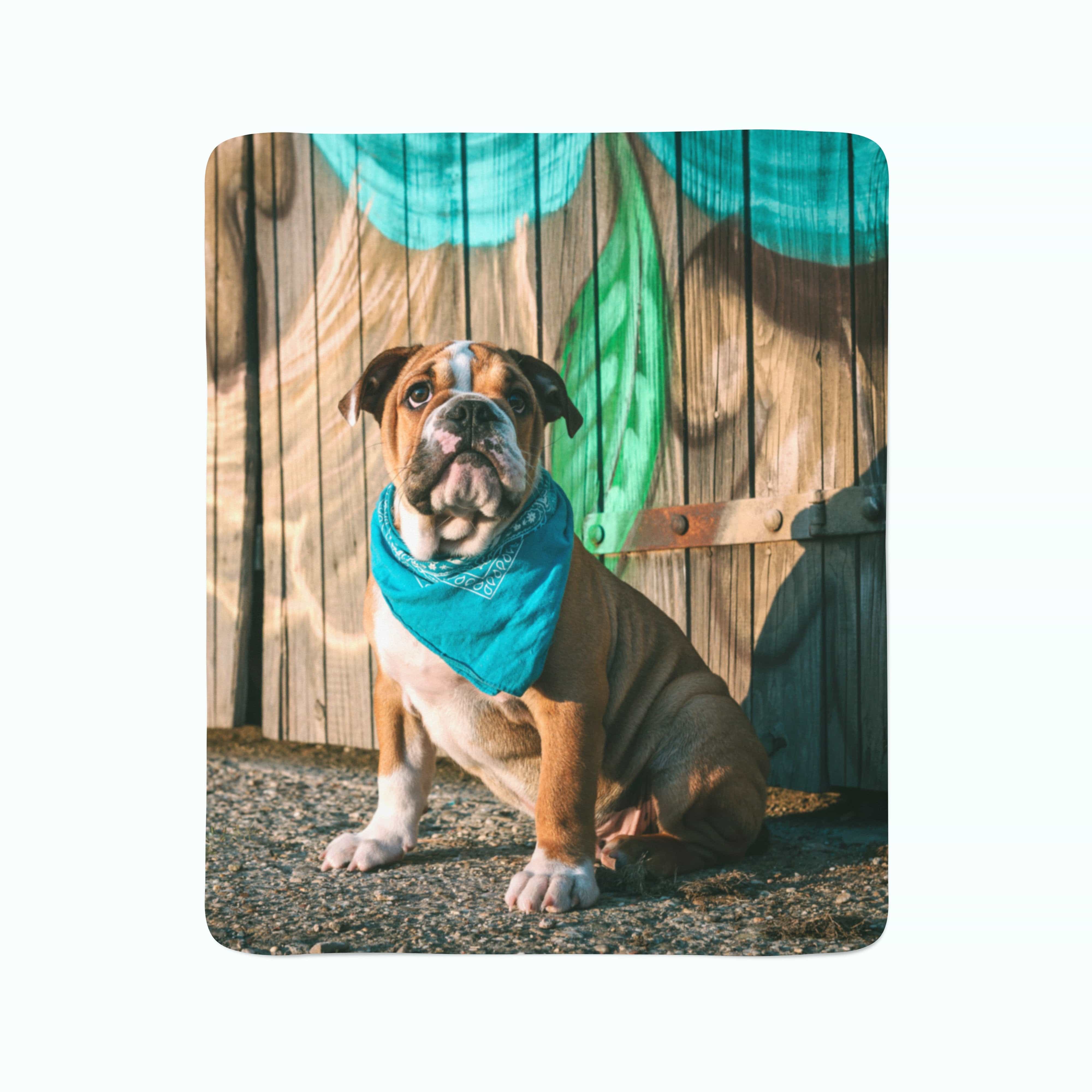 Flīsa pleds Stylish English Bulldog Puppy E-interjers.lv