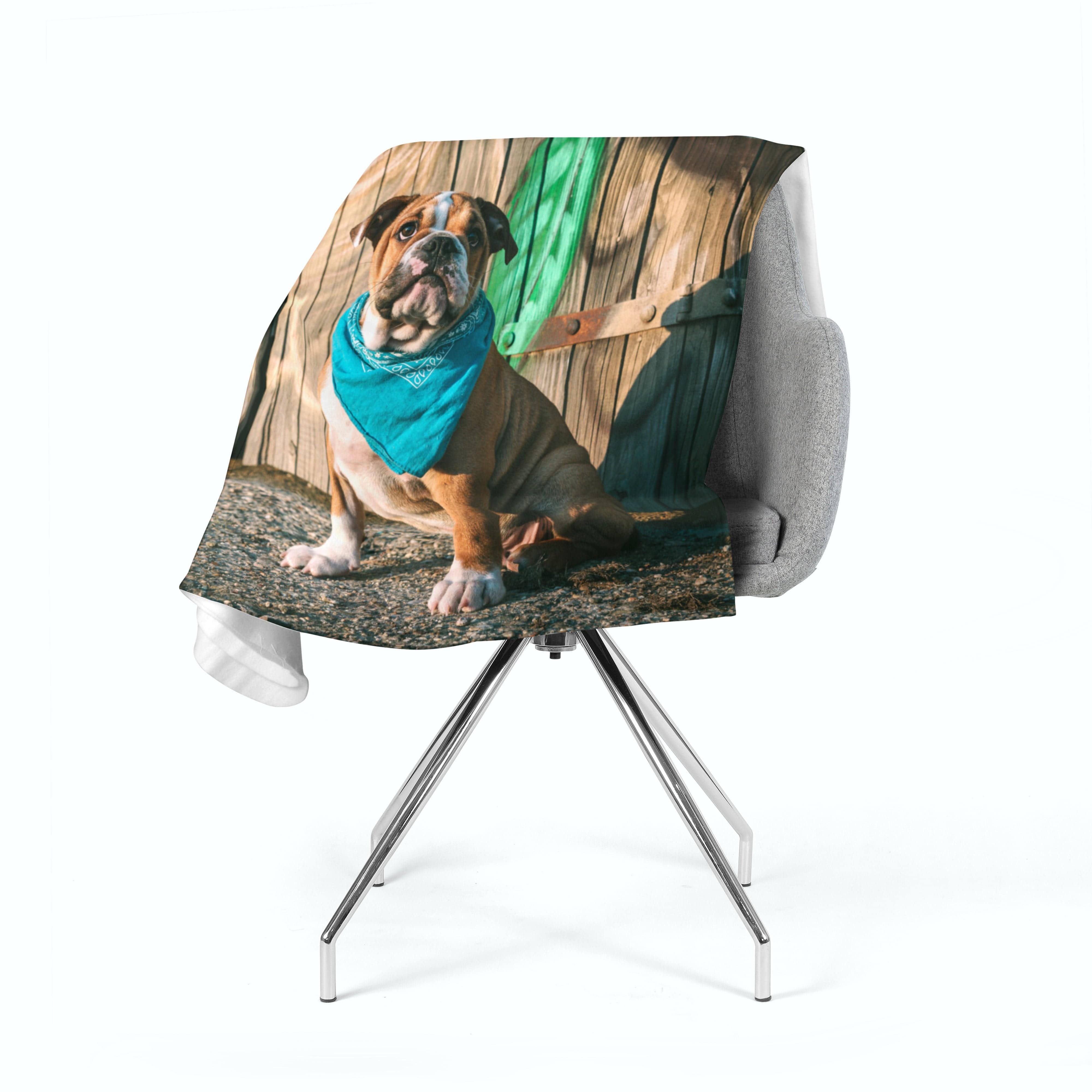 Flīsa pleds Stylish English Bulldog Puppy E-interjers.lv