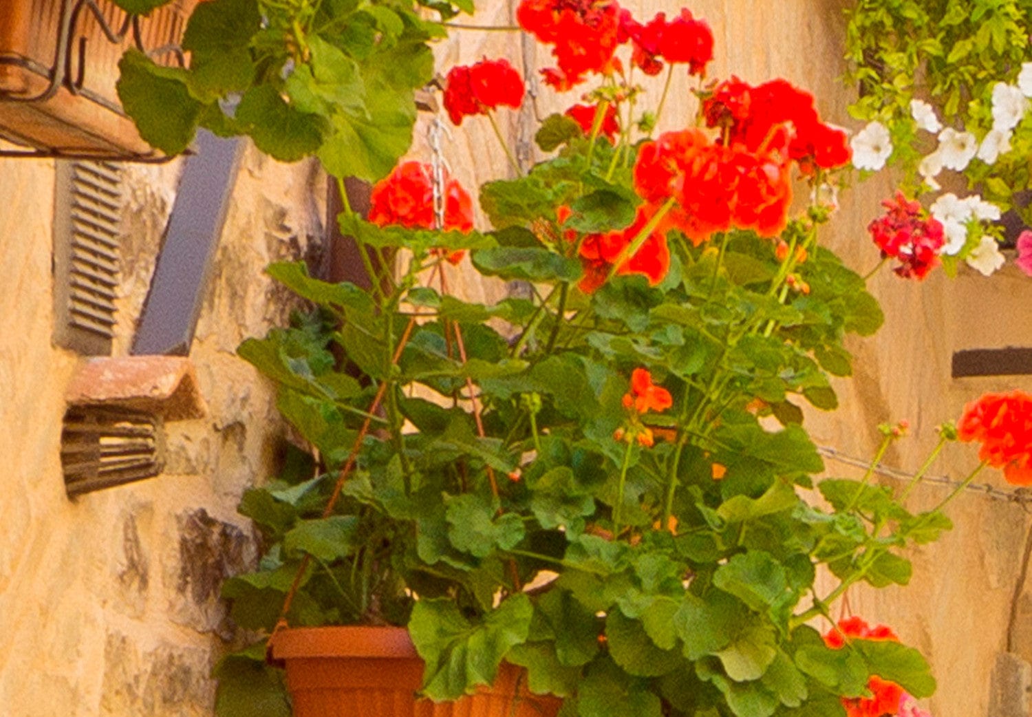 Fototapetes ar Itālijas ieliņām - Aleja Spello (Itālija), 94898 E-interjers.lv