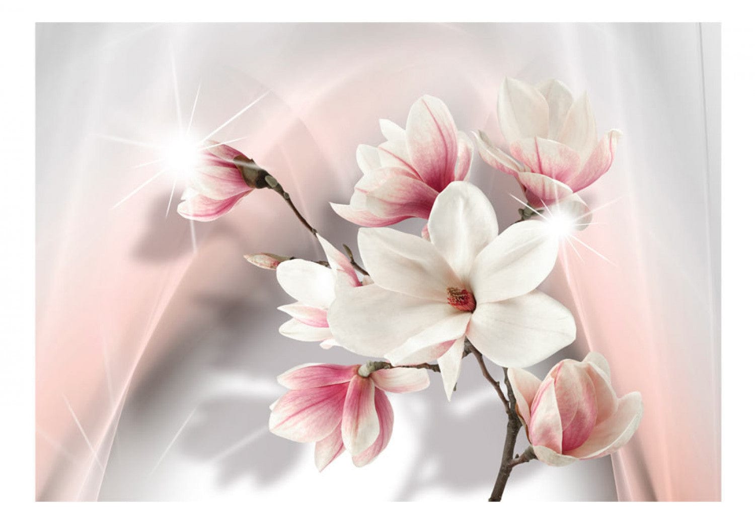 Fototapetes ar magnolijām uz balta un pelēka fona - Baltās magnolijas E-interjers.lv