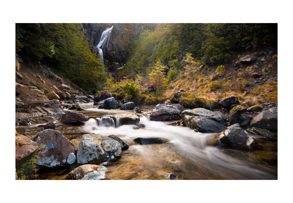 Fototapetes ar meža skatu - Ohakune - ūdenskritumi Jaunzēlandē 450x270 E-interjers.lv