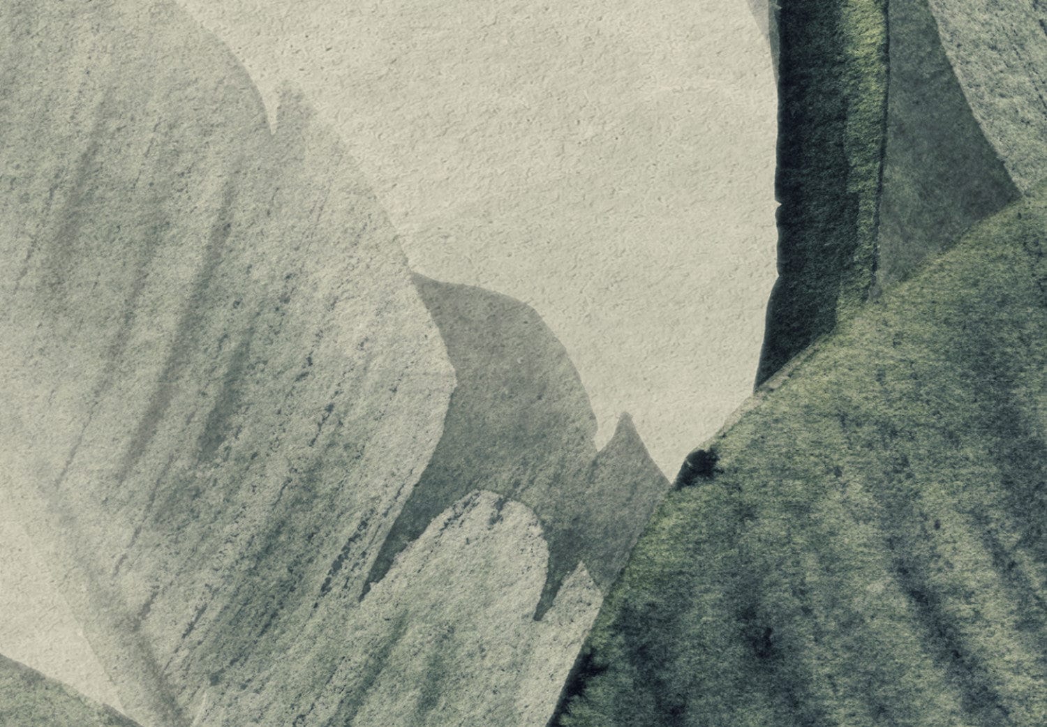 Fototapetes ar mežu - Burvīgi augi (1. var.) - 135974 E-interjers.lv