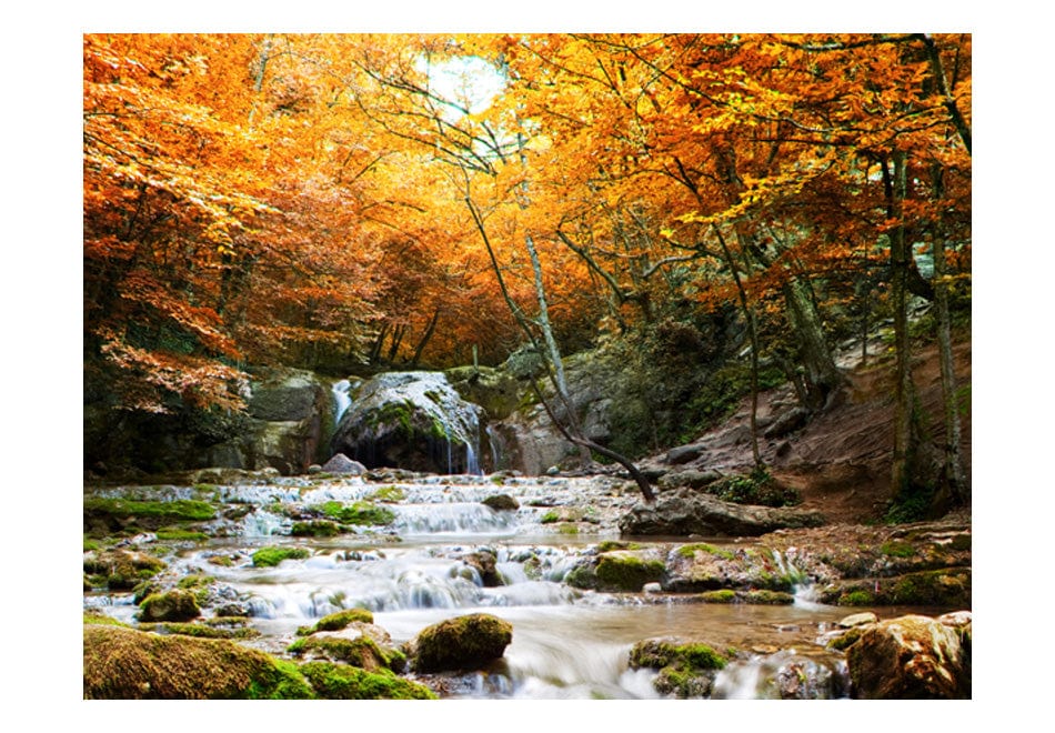 Fototapetes ar mežu - Rudens ūdenskritums E-interjers.lv
