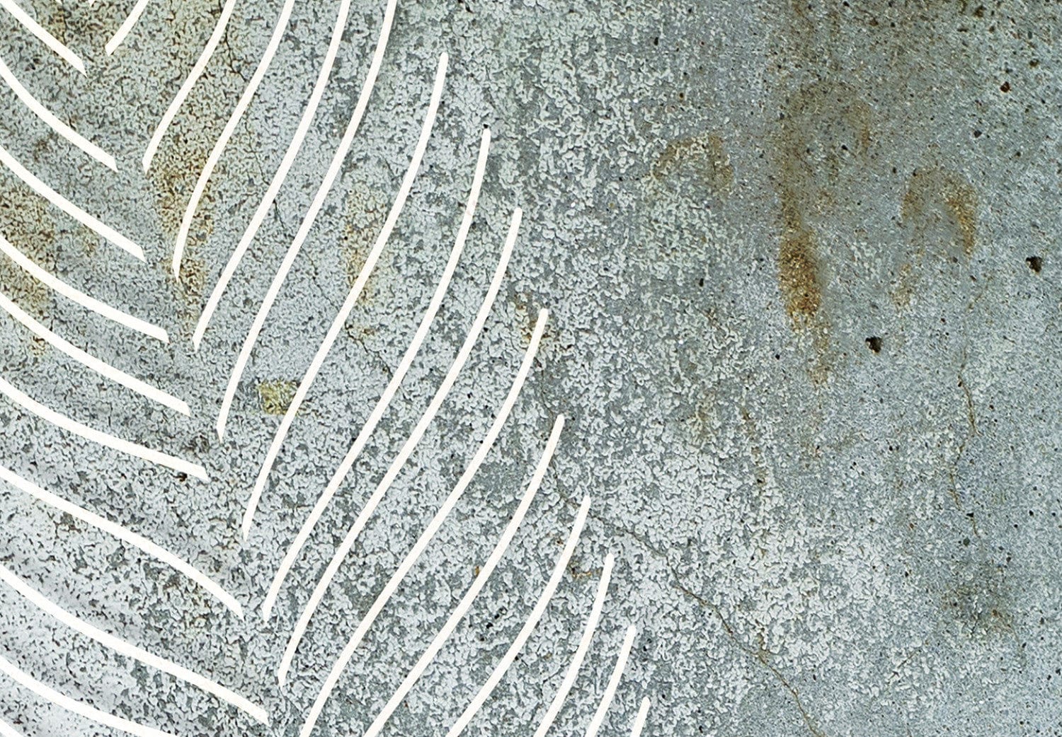 Fototapetes ar mežu - Venēcijas čuksti 136328 E-interjers.lv