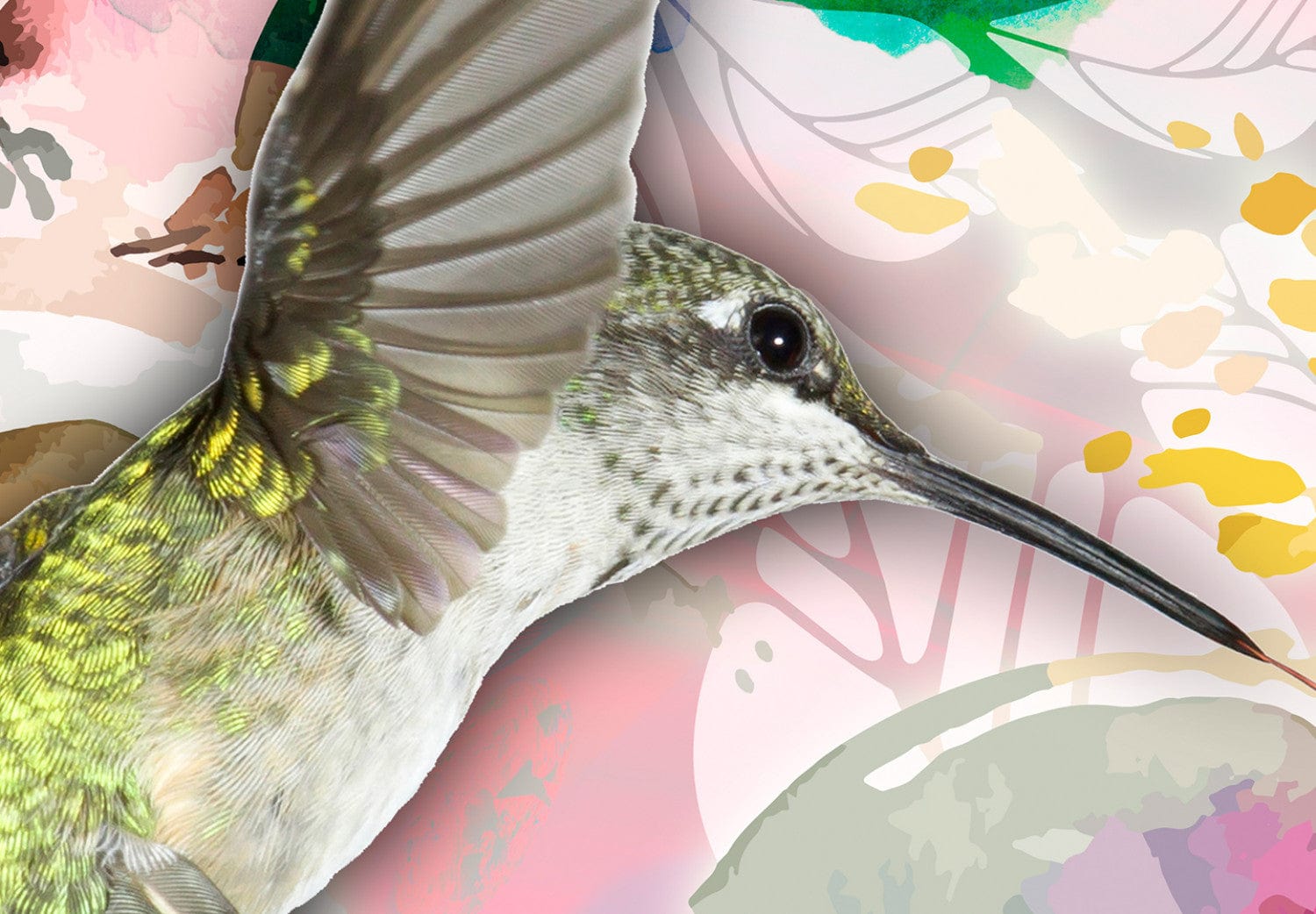 Fototapetes ar ziediem - Dabas krāsas E-interjers.lv