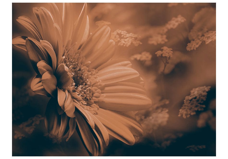 Fototapetes ar ziediem - Gerbera bronzā E-interjers.lv