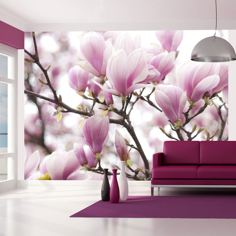 Fototapetes ar ziediem - Magnolijas zieds E-interjers.lv