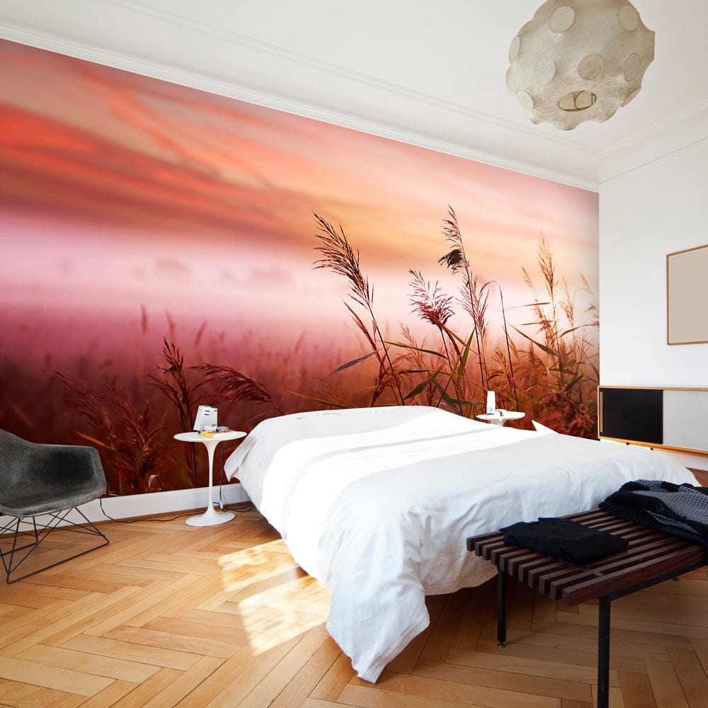 Fototapetes ar ziediem - Rīta pļava 450x270 E-interjers.lv
